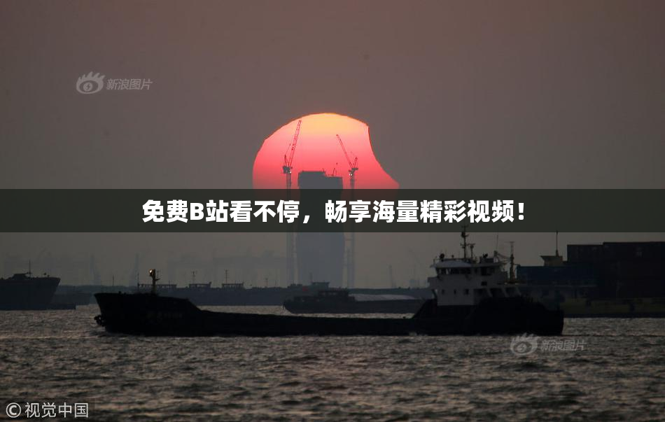免费B站看不停，畅享海量精彩视频！