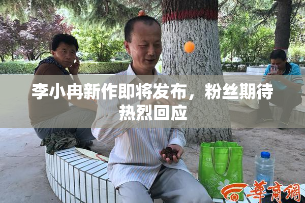 李小冉新作即将发布，粉丝期待热烈回应