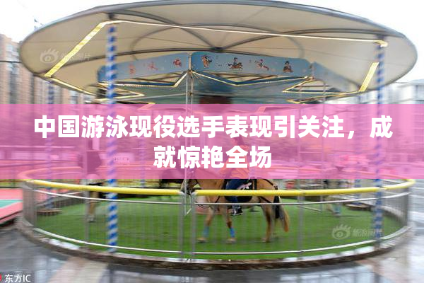 中国游泳现役选手表现引关注，成就惊艳全场