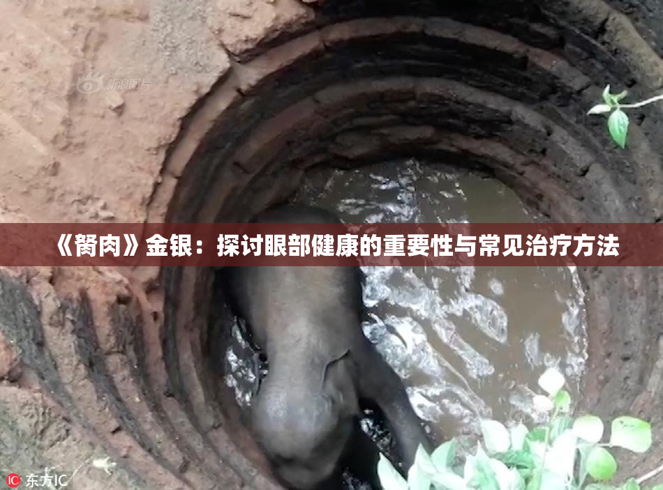 《胬肉》金银：探讨眼部健康的重要性与常见治疗方法