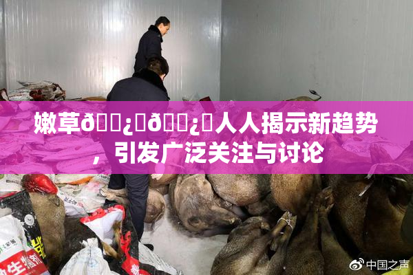 嫩草🌿‌🌿‌人人揭示新趋势，引发广泛关注与讨论
