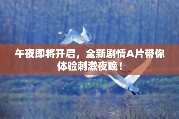 午夜即将开启，全新剧情A片带你体验刺激夜晚！