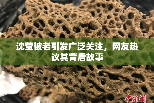 沈莹被老引发广泛关注，网友热议其背后故事