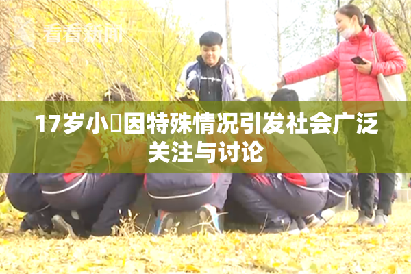 17岁小泬因特殊情况引发社会广泛关注与讨论