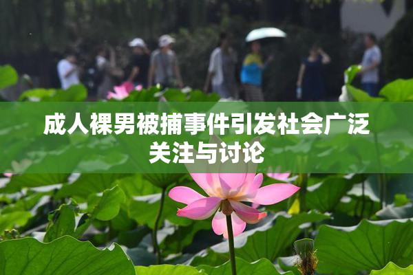 成人裸男被捕事件引发社会广泛关注与讨论