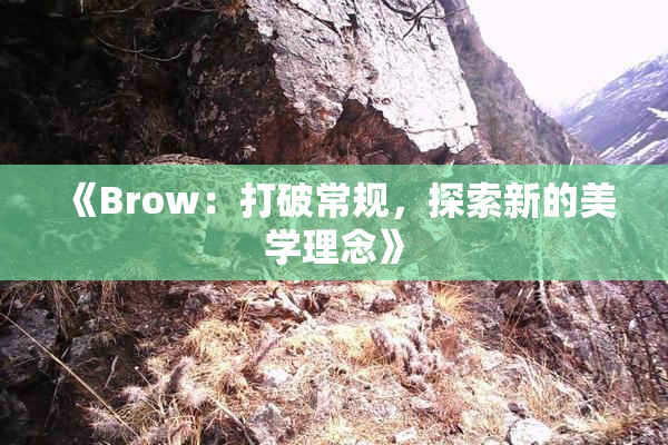 《Brow：打破常规，探索新的美学理念》