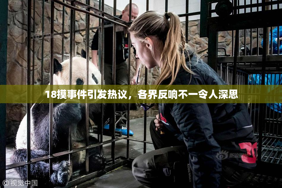 18摸事件引发热议，各界反响不一令人深思