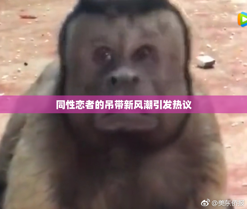 同性恋者的吊带新风潮引发热议
