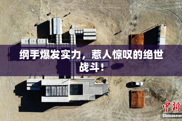 纲手爆发实力，惹人惊叹的绝世战斗！