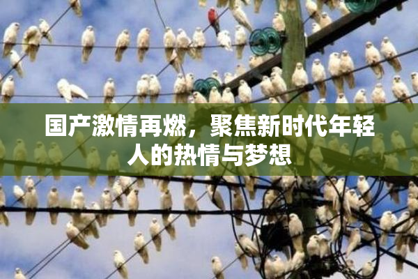 国产激情再燃，聚焦新时代年轻人的热情与梦想