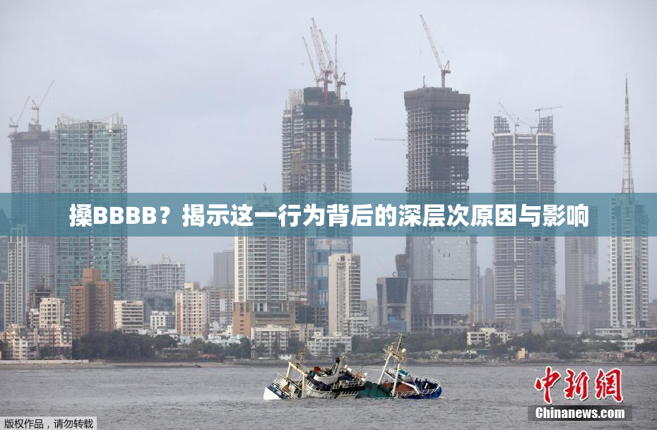 搡BBBB？揭示这一行为背后的深层次原因与影响