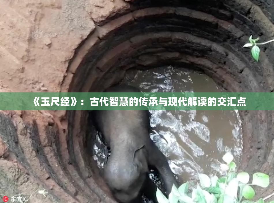 《玉尺经》：古代智慧的传承与现代解读的交汇点