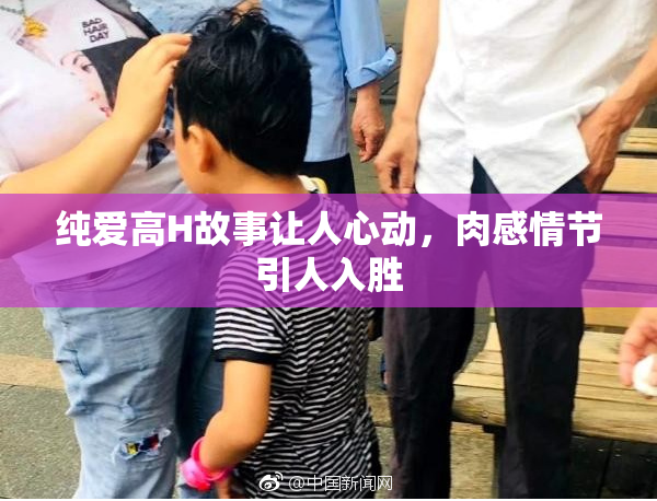 纯爱高H故事让人心动，肉感情节引人入胜