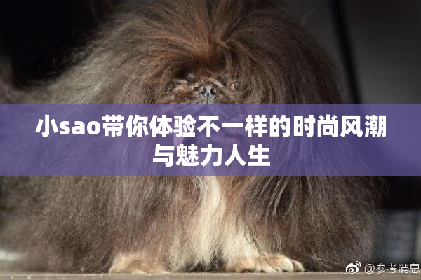小sao带你体验不一样的时尚风潮与魅力人生