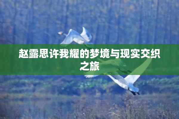 赵露思许我耀的梦境与现实交织之旅