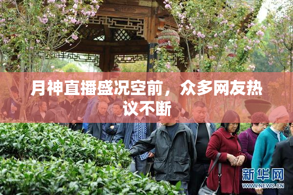 月神直播盛况空前，众多网友热议不断