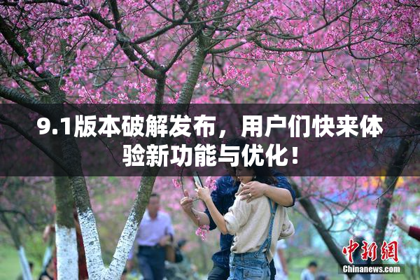 9.1版本破解发布，用户们快来体验新功能与优化！