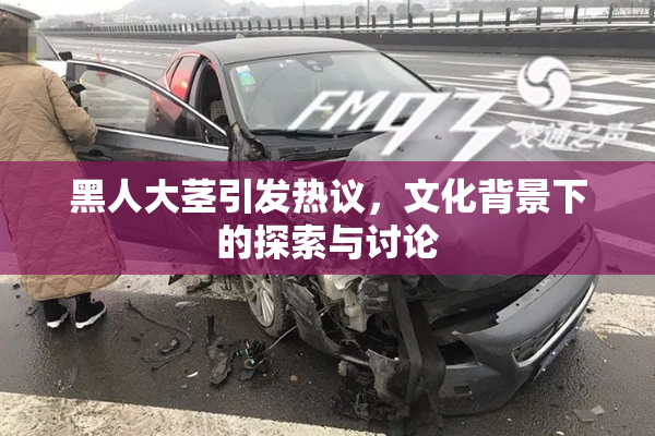 黑人大茎引发热议，文化背景下的探索与讨论