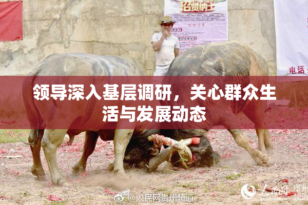 领导深入基层调研，关心群众生活与发展动态