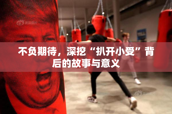 不负期待，深挖“扒开小受”背后的故事与意义