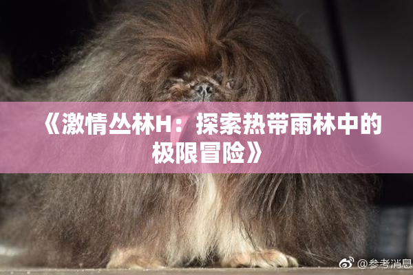 《激情丛林H：探索热带雨林中的极限冒险》