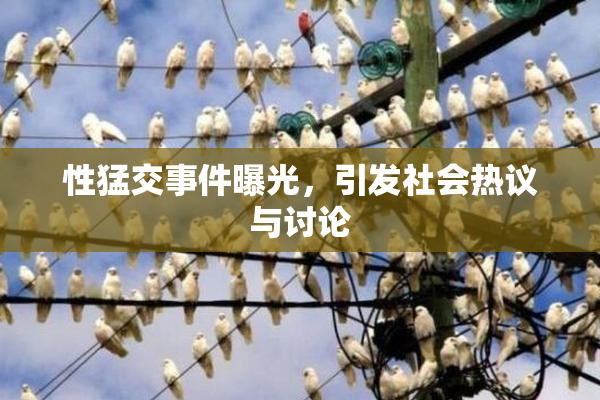 性猛交事件曝光，引发社会热议与讨论