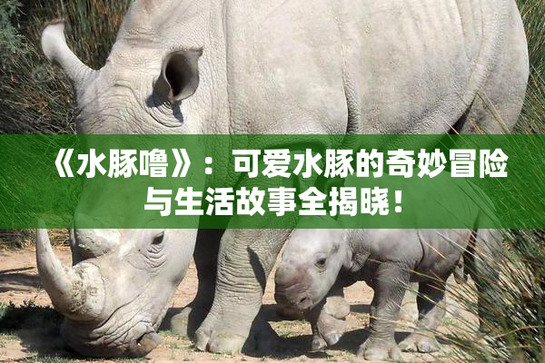 《水豚噜》：可爱水豚的奇妙冒险与生活故事全揭晓！