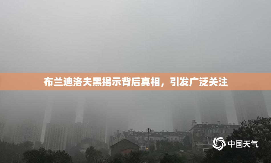 布兰迪洛夫黑揭示背后真相，引发广泛关注