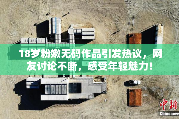 18岁粉嫩无码作品引发热议，网友讨论不断，感受年轻魅力！
