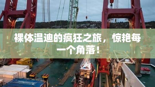 裸体温迪的疯狂之旅，惊艳每一个角落！