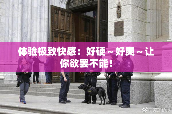 体验极致快感：好硬～好爽～让你欲罢不能！