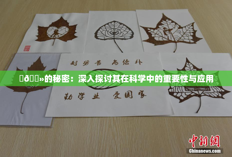 ‌🐻的秘密：深入探讨其在科学中的重要性与应用