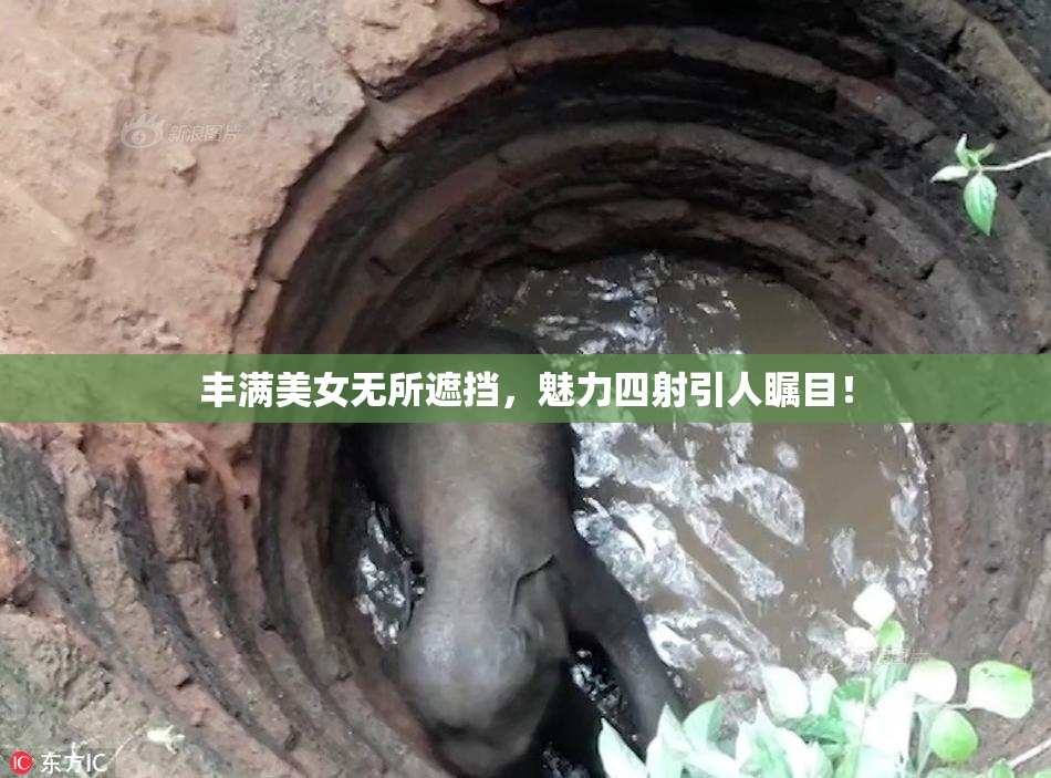 丰满美女无所遮挡，魅力四射引人瞩目！