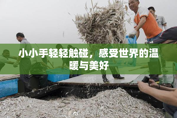 小小手轻轻触碰，感受世界的温暖与美好