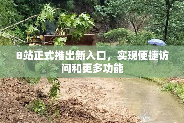 B站正式推出新入口，实现便捷访问和更多功能