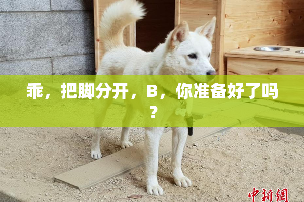 乖，把脚分开，B，你准备好了吗？