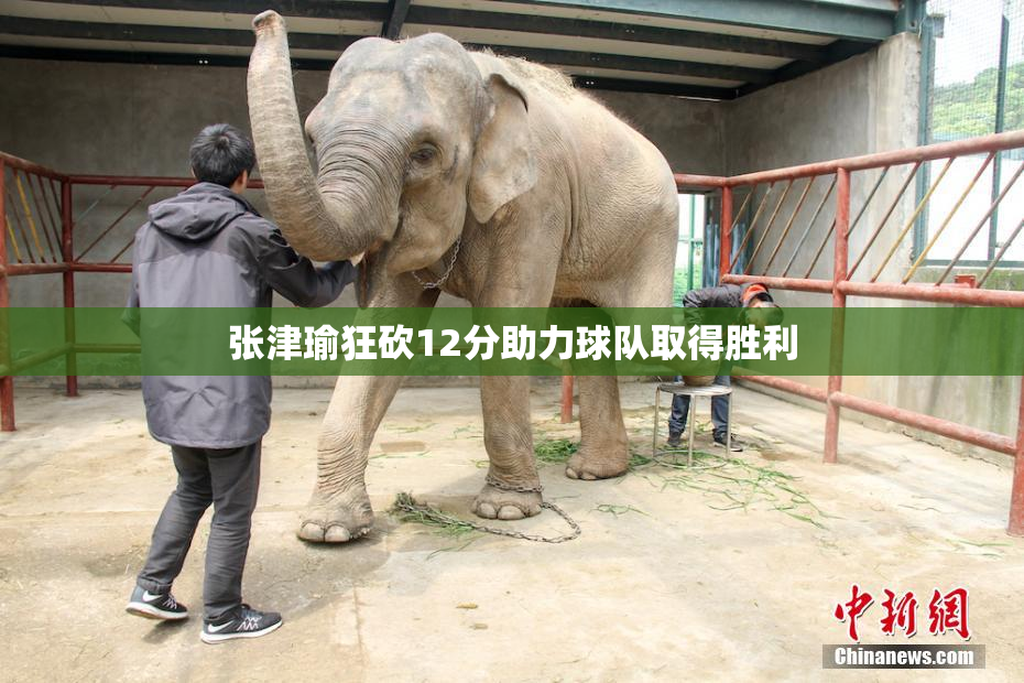张津瑜狂砍12分助力球队取得胜利