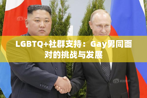 LGBTQ+社群支持：Gay男同面对的挑战与发展