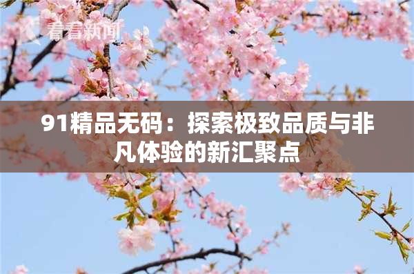 91精品无码：探索极致品质与非凡体验的新汇聚点