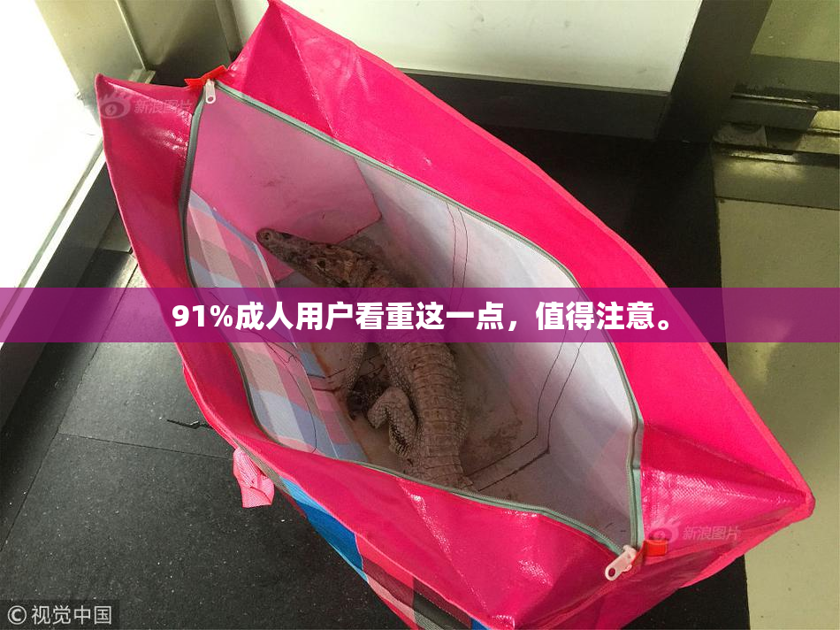 91%成人用户看重这一点，值得注意。