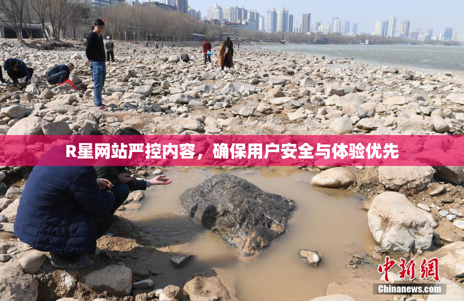 R星网站严控内容，确保用户安全与体验优先