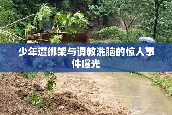 少年遭绑架与调教洗脑的惊人事件曝光