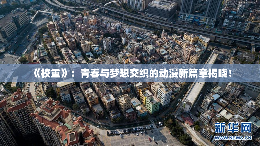 《校重》：青春与梦想交织的动漫新篇章揭晓！