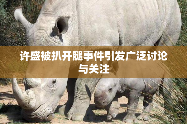许盛被扒开腿事件引发广泛讨论与关注