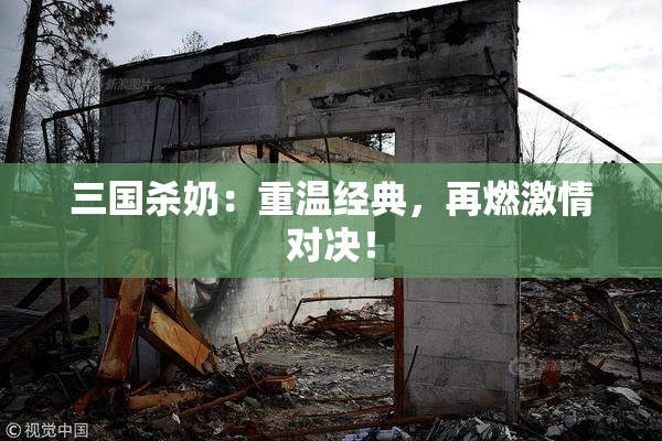 三国杀奶：重温经典，再燃激情对决！