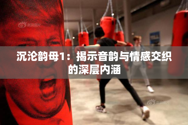 沉沦韵母1：揭示音韵与情感交织的深层内涵