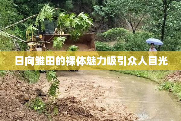 日向雏田的裸体魅力吸引众人目光