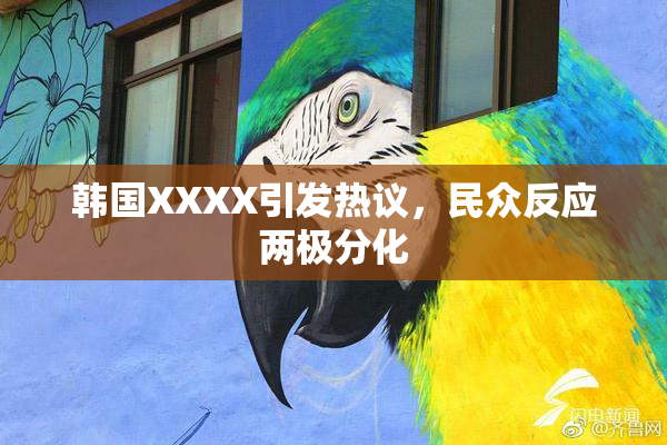 韩国XXXX引发热议，民众反应两极分化