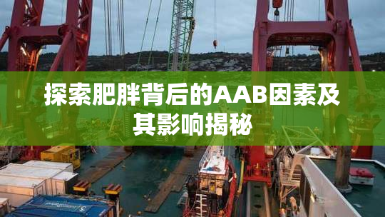 探索肥胖背后的AAB因素及其影响揭秘