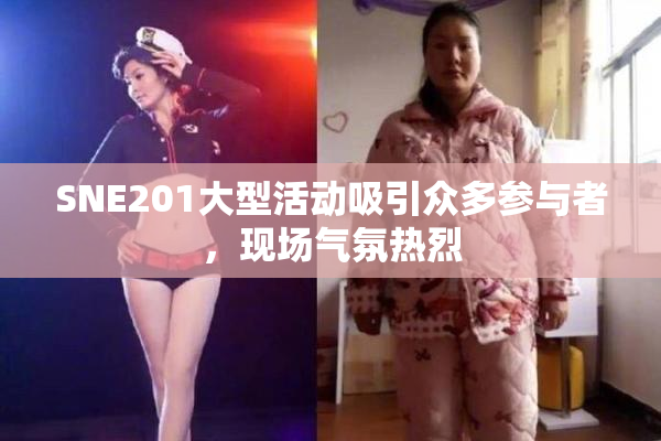 SNE201大型活动吸引众多参与者，现场气氛热烈